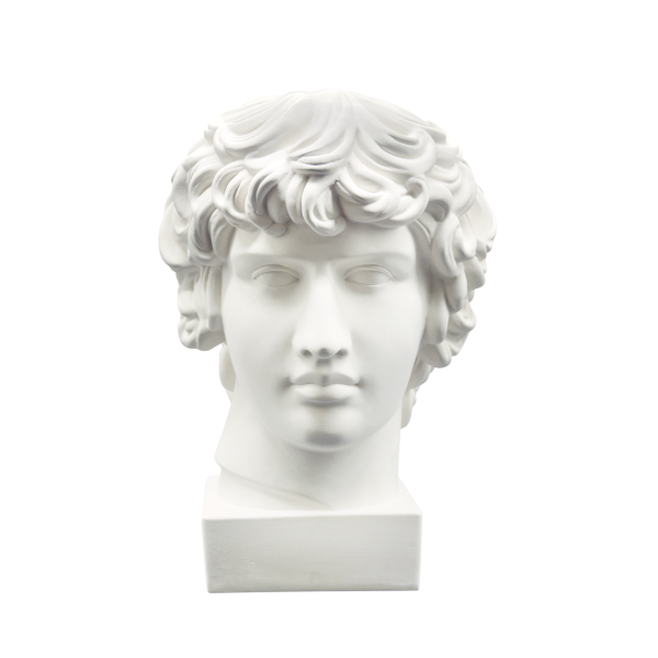 Гипсовая модель Голова Антиноя